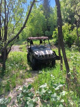  Yamaha Rhino 700 2008 , 720000 , 