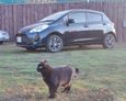  Toyota Vitz 2018 , 980000 , 