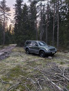 - Land Cruiser Prado