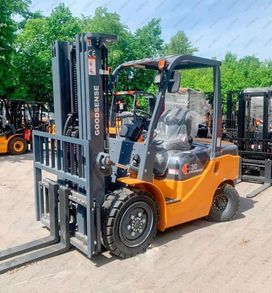   Goodsense FD30 2025 , 1389150 , 
