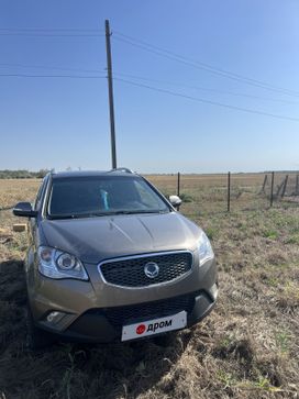 SUV   SsangYong Actyon 2011 , 300000 , 
