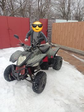   Armada ATV 2013 , 250000 , 