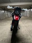   Racer RC300-GY8B BROS 2024 , 177000 , 