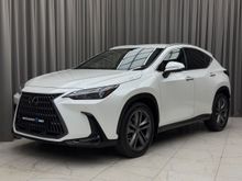  NX250, 2022