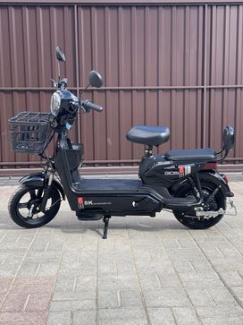   2025 , 29500 , 