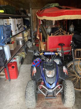   STELS ATV 100 2008 , 30000 , 