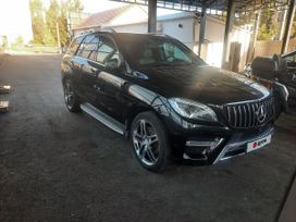 SUV   Mercedes-Benz M-Class 2013 , 3750000 , 