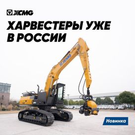  XCMG XE245F 2023 , 34891000 , 