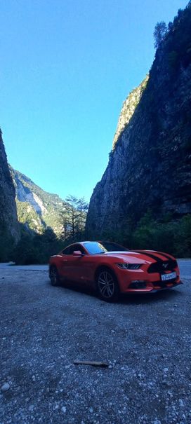  Ford Mustang 2014 , 2000000 , 