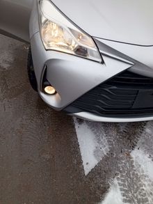  Vitz, 2019