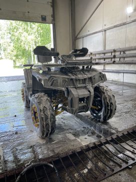 Wild Track X, 2023