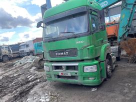 Седельный тягач КамАЗ 5490 2017 года, 2255250 рублей, Нижний Новгород